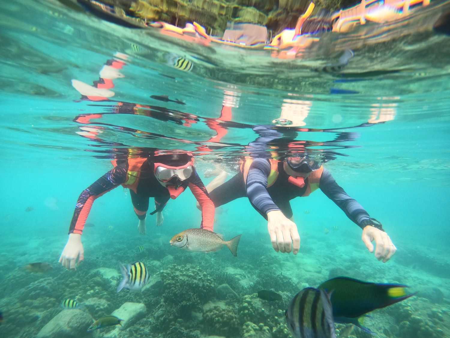 PAYAR DIVING